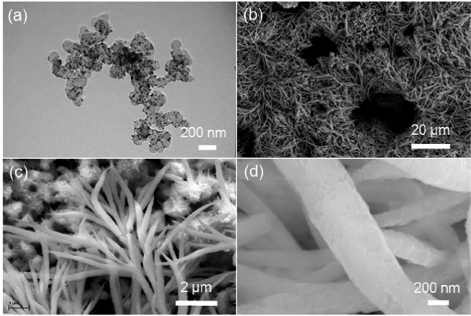 Carbon Black Nanoparticles: Applications in Medicine, Electronics, and Energy".